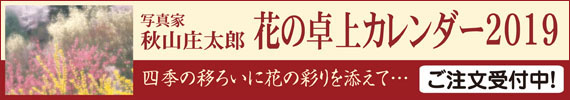 2019秋山庄太郎花のカレンダー