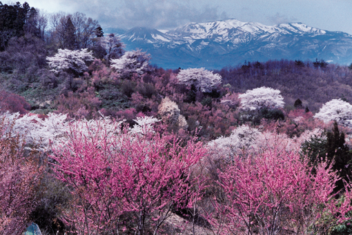 入選 鴨志田 章代(東京都調布市)「自然の美景」