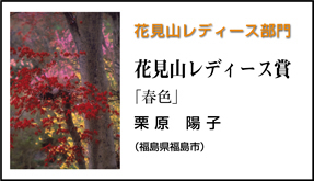 花見山レディース部門　花見山レディース賞「春色」