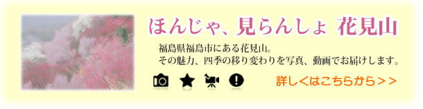 ほんじゃ、見らんしょ花見山